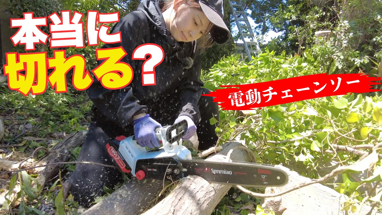 DIY for Women] Professional tests a Chinese electric chainsaw