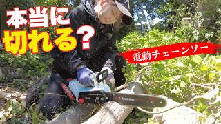 【女性DIY】プロが現場で検証。中華製電動チェーンソー　マキタ互換