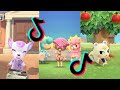 animal crossing tik tok memes i got in a message bottle