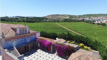 Carrafouchas Vineyard and wine activities