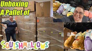 Unboxing an entire Pallet of Squishmallows We talk about their stories. Check them all out!