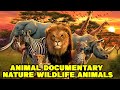 Animal Documentary 2021 Nature Wildlife Animals 2021 HD