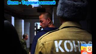 Волк – Торопит конвой