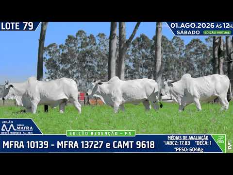 LOTE 79   MFRA 10139   MFRA 13727 e CAMT 9618