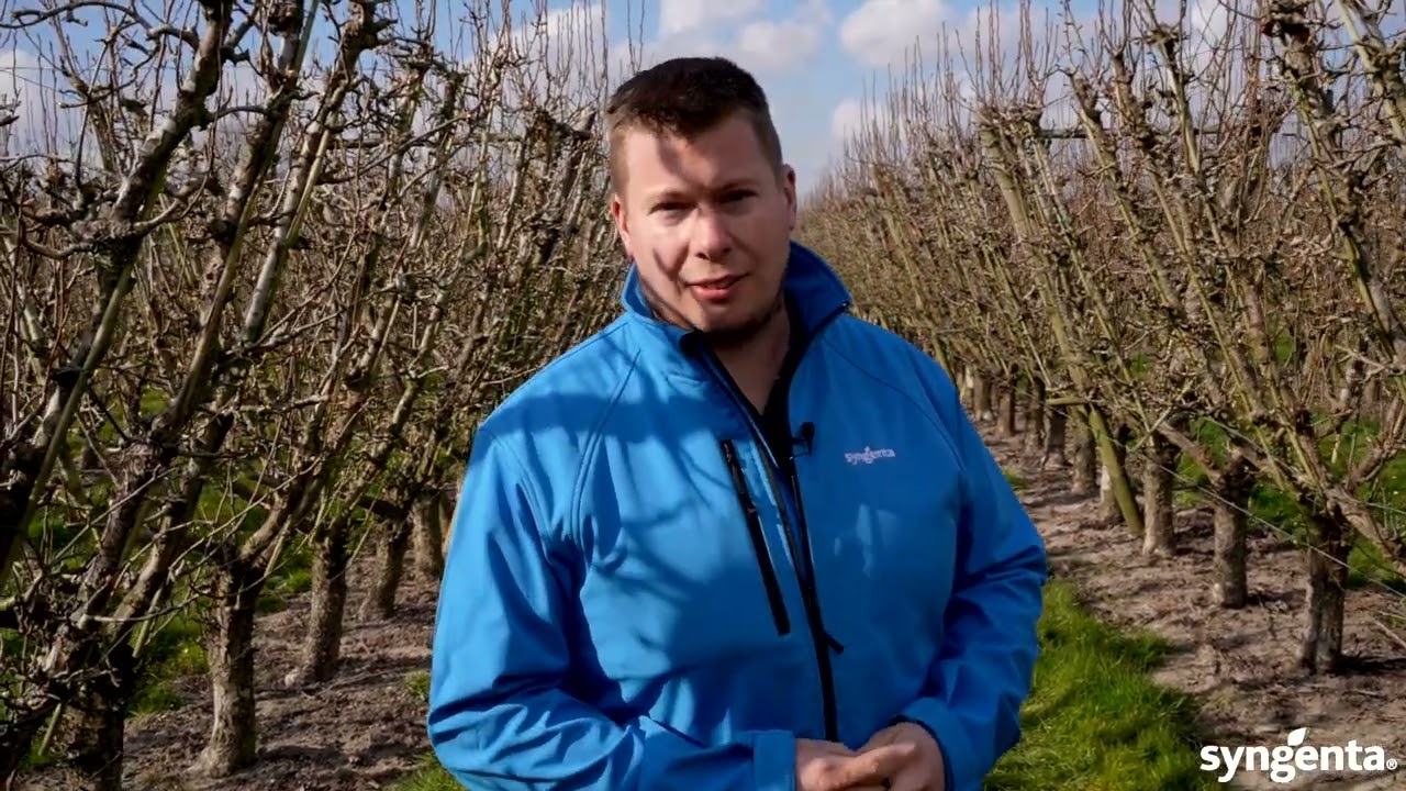 Promalin en Regulex, groeiregulatoren in de fruitteelt.