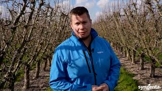 Promalin En Regulex, Groeiregulatoren In De Fruitteelt.