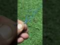 How To Tie a Fishing Knots