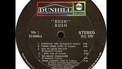 Bush (Side 2)  Rare 1970 US Pressing Only Ever Rel...