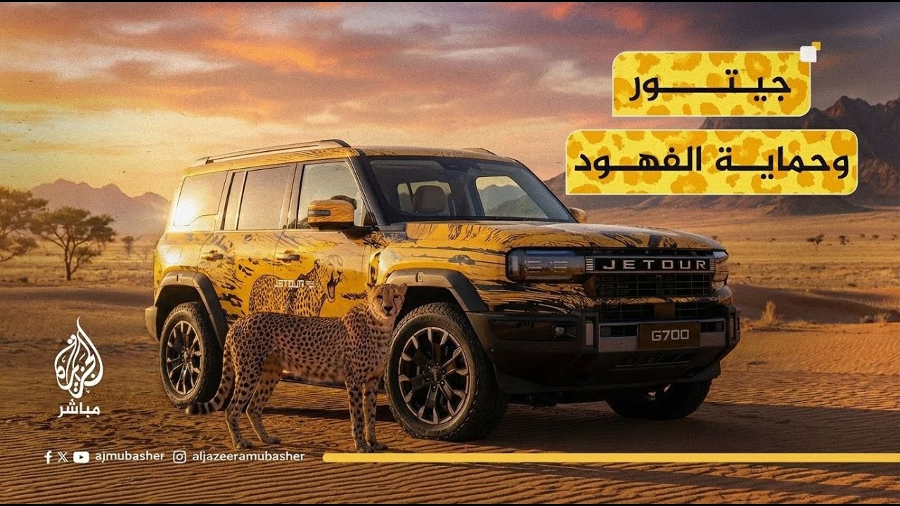 جيتور X حماية الفهود.. شراكة تغير مستقبل الطبيعة