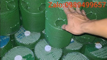 Lộp Chuyên Đặt Tép 4 Hôm Và 5 Hôm Siêu Chạy Tép