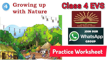 Klas 4 EVS Hoofdstuk 4 Opgroeien met de natuur / Hoofdstukuitleg / Examenvragen / Belangrijk