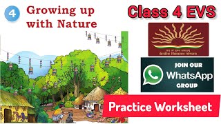 Class 4 EVS Chapter 4 Growing up with Nature / Chapter Explanation / Exam Question Paper / Important