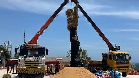 Cho Thuê Xe Cẩu Tự Hành Tại Bình Thuận...Vận Chuyển Cây Cảnh Trên Rừng Về Tp Phan Thiết