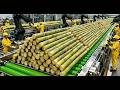 Sugar Manufacturing Process | Modern Cane Sugar Factory Tour
