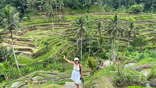 Ceking Rice Terrace in Tegalalang Bali
