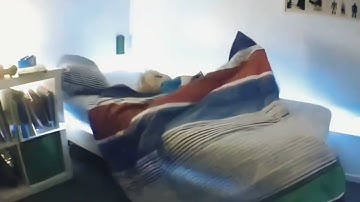 The Internet Just Built the Most Brutal Alarm Clock Ever