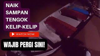 Naik Sampan Tengok Kelip-Kelip Di Kampung Kuantan Fireflies Park Selangor