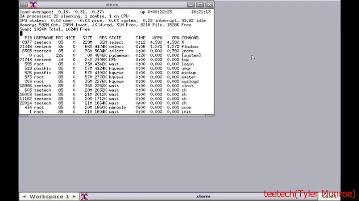 NetBSD Xorg Desktop Setup