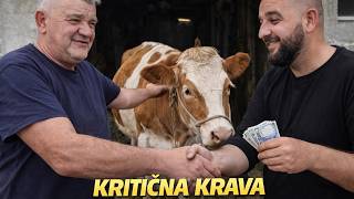 Download lagu ROLE PRODAJE ENIZU BOLESNU KRAVU😂