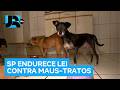 Governo de SP aumenta o valor de multas e endurece o cerco contra maus-tratos a animais