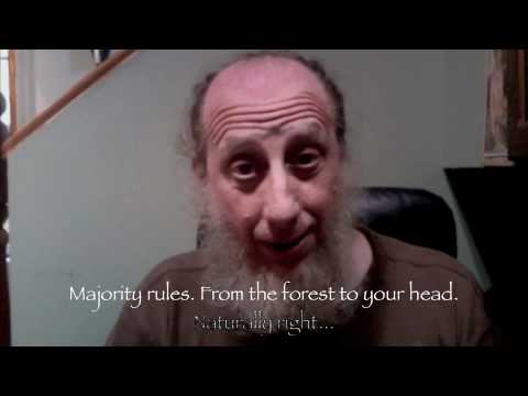 majority rules