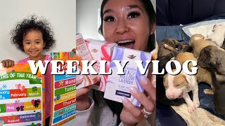 VLOG!: SHOPPING + DERM APPT + SWIM CLASS + PUPPIES