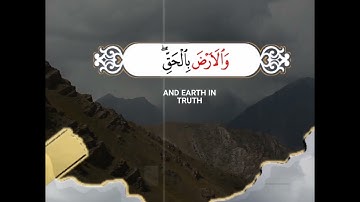 ما تيسر من سورة الزمر / محمد رضا زيان/ تلاوة خاشعة / دقيقة من وقتك مع القرآن