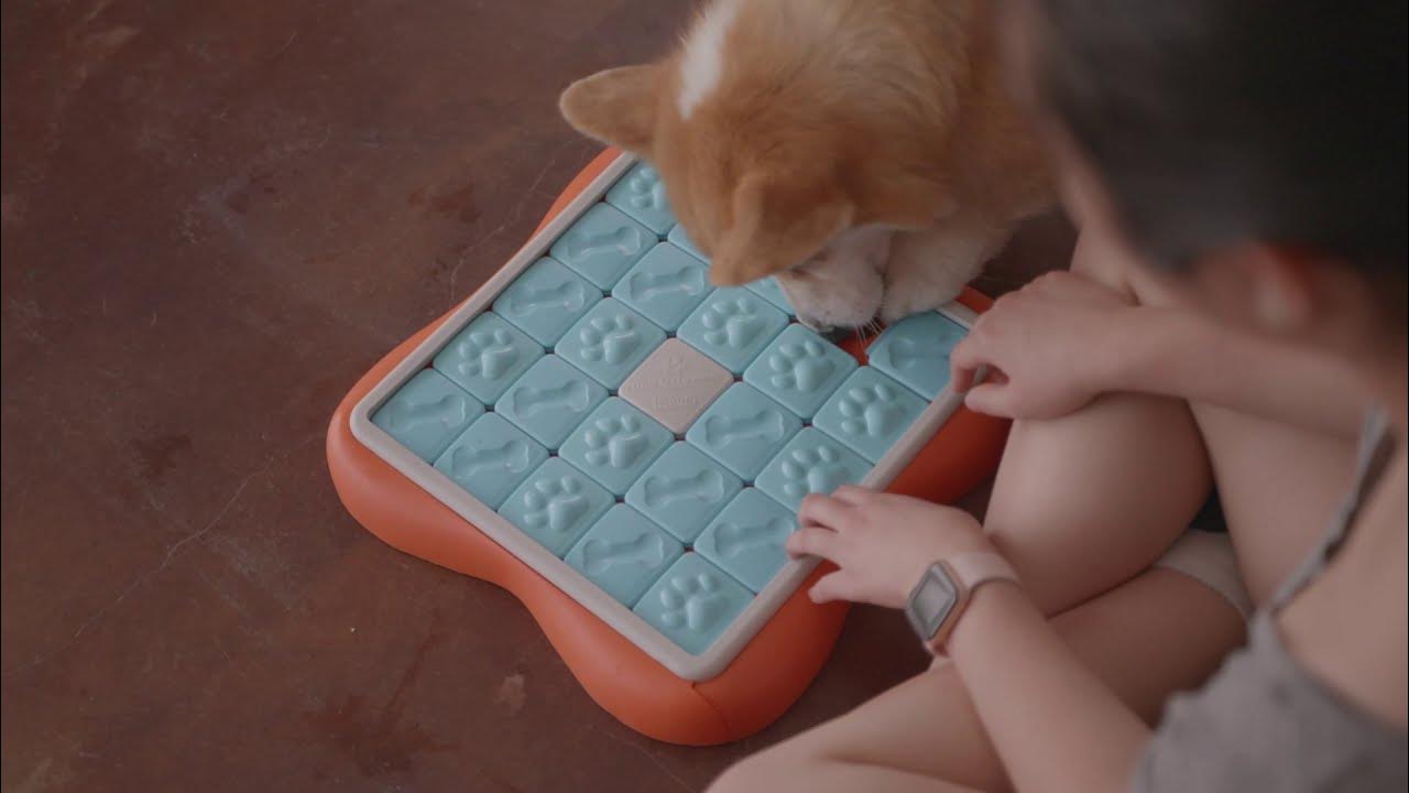 Challenge Slider - 24 Compartment Dog Treat Puzzle 