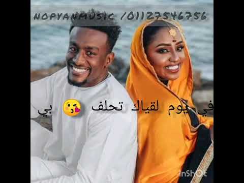تامر صحافة حالات واتس اب في يوم لقياك