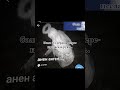 видео моей ЛП, я с поцелуями. в компах дам ее нив в лайке #активприйди