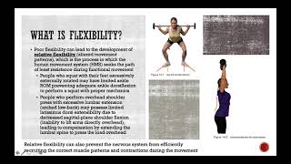 Chapter 14 - Flexibility Training Concepts