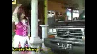 Penakluk Cinta - Dadang Anesa