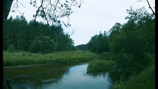 Прогулка #3. Уша-Вилия