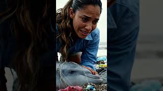 The Oceans Cry A Silent Call For Help