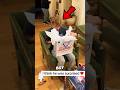 This Boy Did Not EXPECT This Gift #shorts #gift