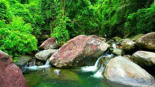 🎧 Gentle Mountain Stream Flowing Over Natural Cobblestones | Deep Stress Relief 4K ASMR NO MUSIC