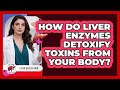 How Do Liver Enzymes Detoxify Toxins From Your Body? - Liver Health Hub