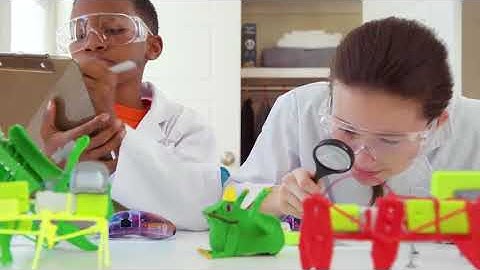 Engineer your own walking Robots with the 3Doodler Start!