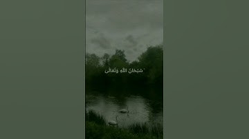 { وَربُّك يَعلمُ ما تُكِنُ صُدُورُهُمْ } | سُورة القَصص | القارئ محمد صديق المنشاوي. #قرآن #ارح_قلبك