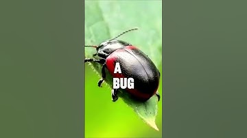 Flash Loan Attack: How Millions Are Stolen in Seconds ⚡💸