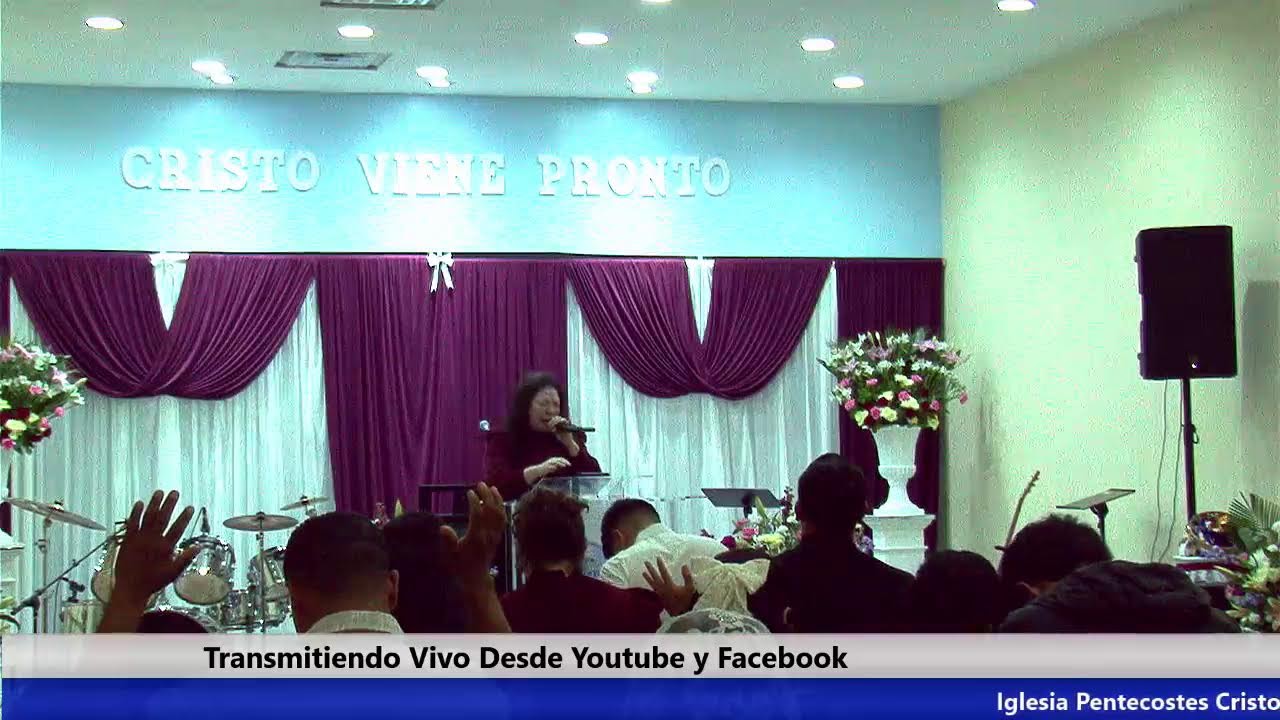 Transmision En Vivo - YouTube