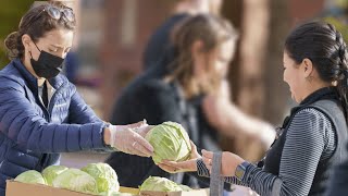 Hellofresh Beyond The Box