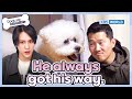 He always got his way😤 [Dogs Are Incredible : EP.213-3] | KBS WORLD TV 240402