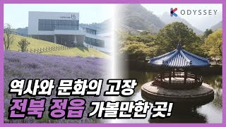 🚌 전북 정읍 여행 가실 분 주목! 🧳 인생샷 포토존부터 역사·문화까지 함께 즐겨요 #전북 #정읍