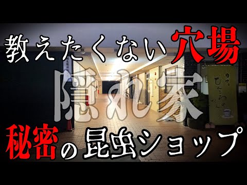 ここは 本当にヤバい クワカブ昆虫マニアが通いつめてしまう 隠れ家てきな昆虫ショップがこちらです