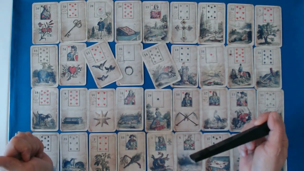 Stier März 2026 - positive finanzielle Entwicklung