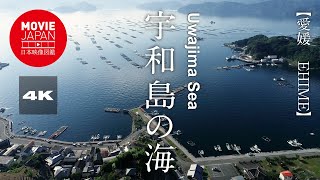 愛媛　宇和島の海 4K Uwajima Sea