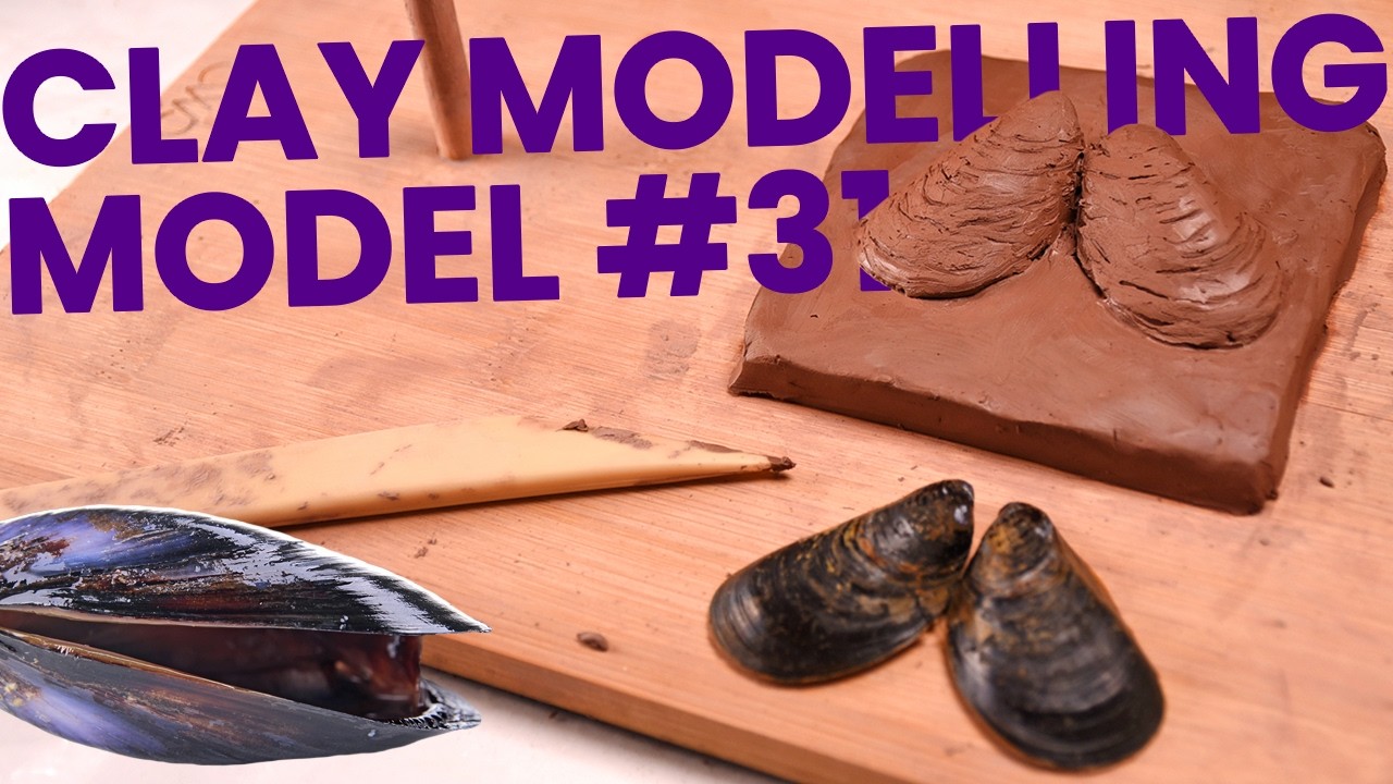 Shell Clay Making How to Make a Clay Model of a Pair of Mussel Shells (Concave) - YouTube