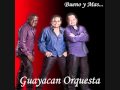 Mujer De Carne y Hueso - Guayacan Orquesta.wmv