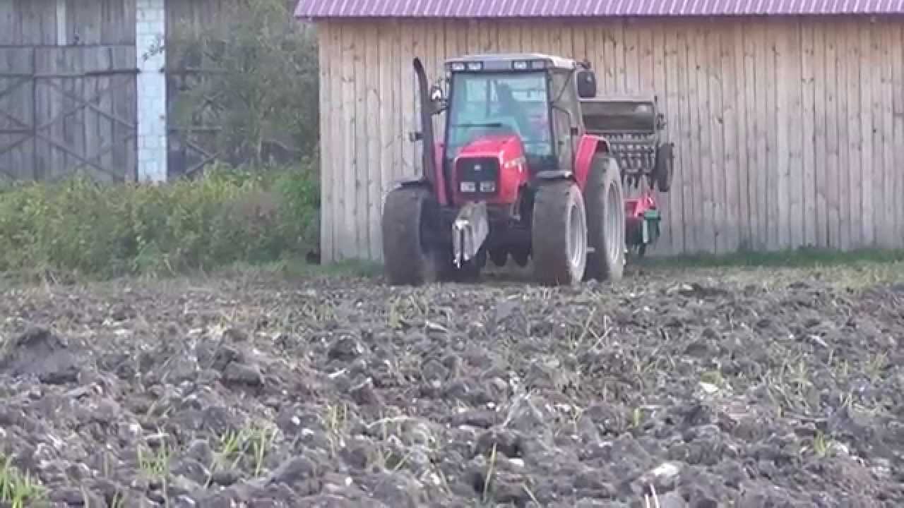 Siew Pszenicy & Pszenżyta || Massey Ferguson 6265 & Agregat talerzowy Agro-masz ||